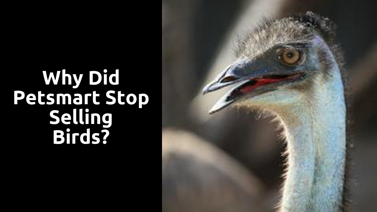 Why did Petsmart stop selling birds?